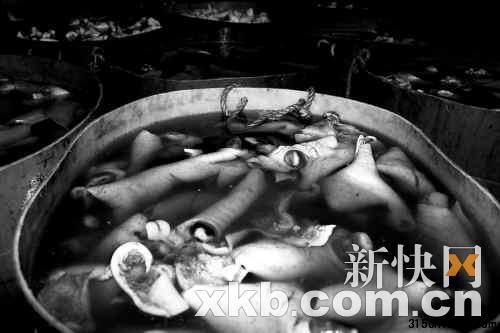 ■浸泡在化學(xué)溶液里的食材。 ■浸泡在化學(xué)溶液里的食材。
