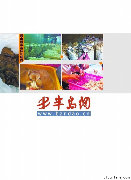 市場售嶗山菇多數(shù)造假個(gè)別商販用硫黃和漂白粉