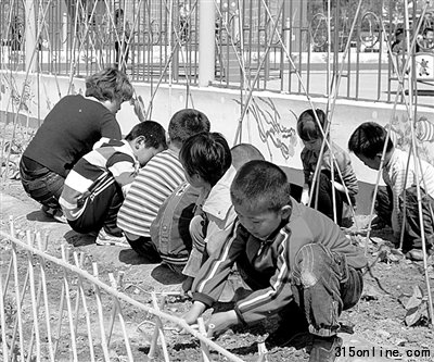 幼兒園高收費(fèi)越來越貴入園難催生高收費(fèi)