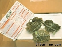 毛女士在嗨淘網上購買的并非正宗陽澄湖大閘蟹。 毛女士在嗨淘網上購買的并非正宗陽澄湖大閘蟹。