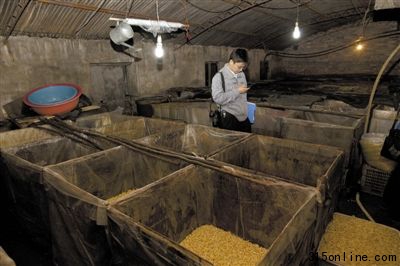 昨日,房山食品辦、工商等多個執法部門對漂白豆芽黑作坊進行查處,現場發現多種添加物。本報記者 周崗峰 攝