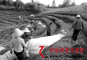 ʡԴhǡЇ(gu)G֮l(xing)֮һ  Ј(chng)չW