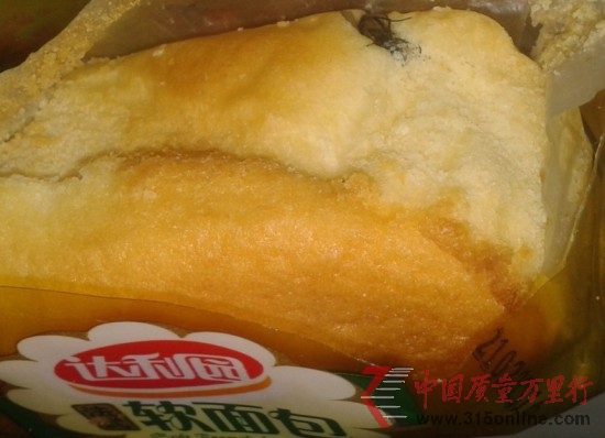 Գnω_(d)@ܛ(DƬZṩ)